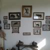 MORE OF THE ARROWHEAD COLLECTION